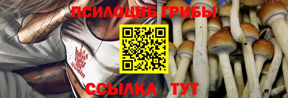 Галлюциногенные грибы Psilocybine cubensis  Вход с VPN  Томск 